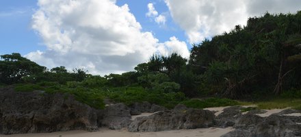 The Ancient Capitals of the Kingdom of Tonga