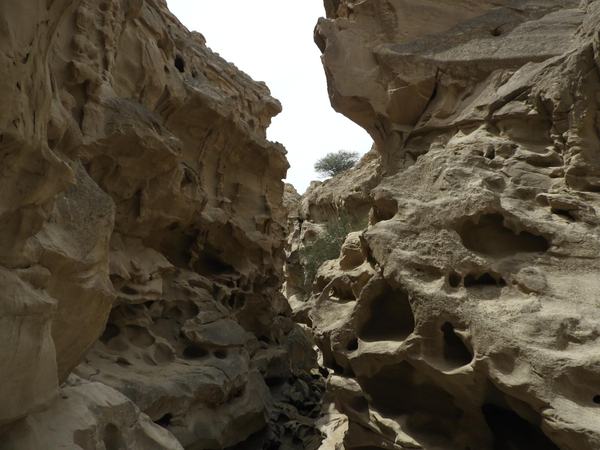 Qeshm Island by Roman Bruehwiler