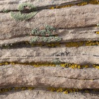 Petrified Forest National Park