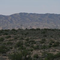 Touran Biosphere Reserve by Roman Bruehwiler