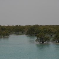 Harra Protected Area by Roman Bruehwiler