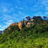 Vumba Mountain Range
