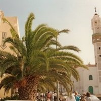 Oasis de Gabes