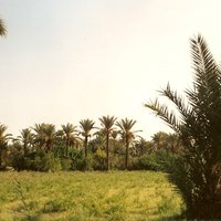 Photo in the Public Domain