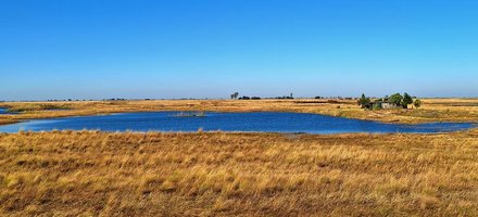 Barotse Plains