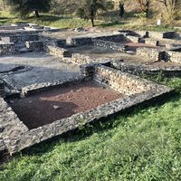 Ripa Pannonica in Hungary by Stanislaw Warwas