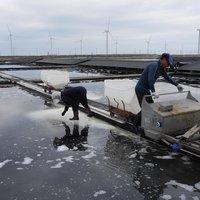 Salterns