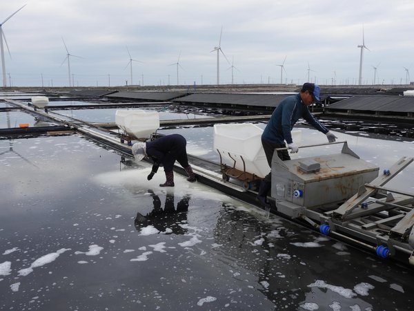 Salterns by Roman Bruehwiler