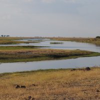 Chobe Linyanti System