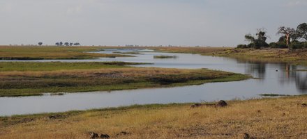 Chobe Linyanti System