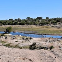 Makgadikgadi Pans Landscape
