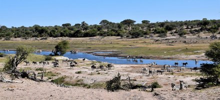 Makgadikgadi Pans Landscape