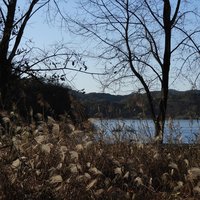 Upo Wetland by Roman Bruehwiler