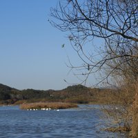 Upo Wetland