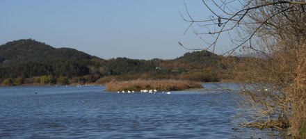 Upo Wetland