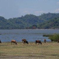 Lake Chilwa Wetland