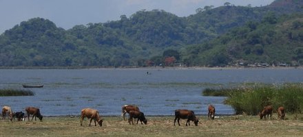 Lake Chilwa Wetland
