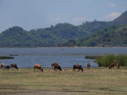 Lake Chilwa Wetland by Roman Bruehwiler
