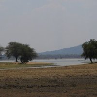 Vwaza Marsh Wildlife Reserve