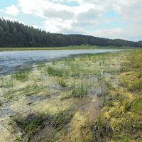 Meanders of the Upper Daugava