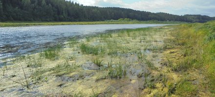 Meanders of the Upper Daugava