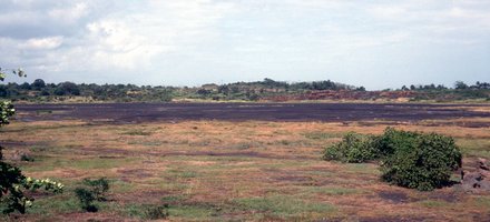La Brea Pitch Lake