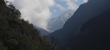 Jigme Dorji National Park (JDNP)