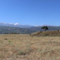 Silk Road