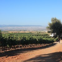 La Rioja and Rioja Alavesa Vine and Wine Cultural