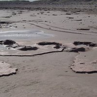 Pehuén co - Monte Hermoso