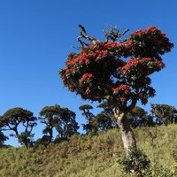 Natma Taung National Park