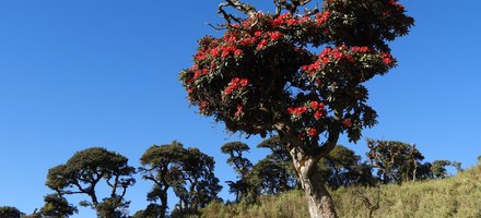 Natma Taung National Park