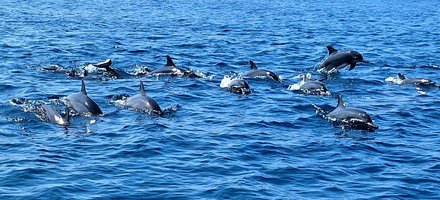 Les Îles Moucha et Maskali
