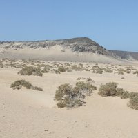 Les paysages naturels de la région d'Obock by Stanislaw Warwas