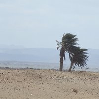 Les paysages naturels de la région d'Obock
