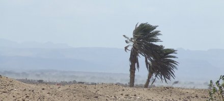Les paysages naturels de la région d'Obock