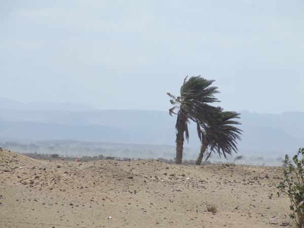 Les paysages naturels de la région d'Obock by Stanislaw Warwas