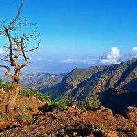 Le Parc National de la forêt du Day by Roman Bruehwiler