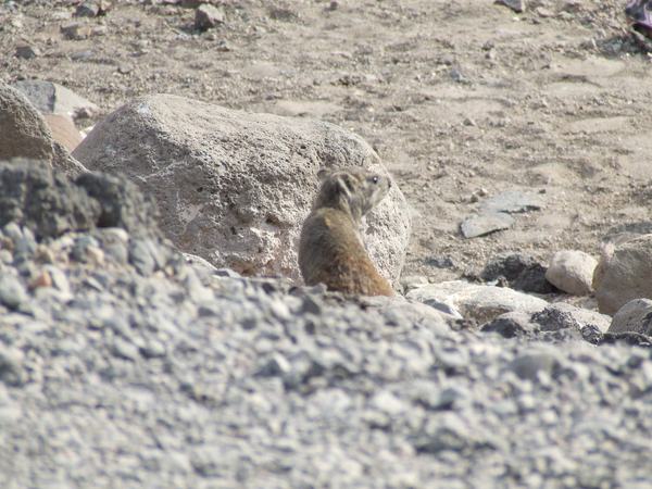 Aire naturelle protégée de Djalélo by Stanislaw Warwas