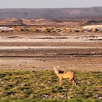 Lac Abbeh by Roman Bruehwiler