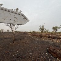 Wassu Stone Circles Quarry Site by Els Slots