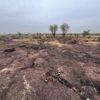 Wassu Stone Circles Quarry Site