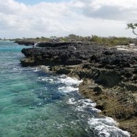 The Inagua National Park