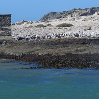 Benguela Current  by Els Slots