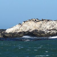 Benguela Current 