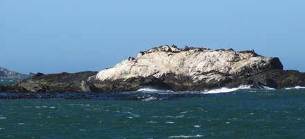 Benguela Current 
