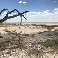 Etosha Pan