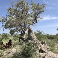 Sān Living Cultural Landscape by Stanislaw Warwas