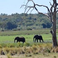Okavango Delta 