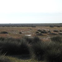 Kızılırmak Delta Wetland and Bird Sanctuary